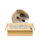 すぐる＆ハルのひと時2（個別スタンプ：11）
