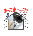 すぐる＆ハルのひと時2（個別スタンプ：15）