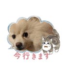 すぐる＆ハルのひと時2（個別スタンプ：19）