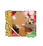 すぐる＆ハルのひと時2（個別スタンプ：25）