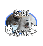 すぐる＆ハルのひと時2（個別スタンプ：32）