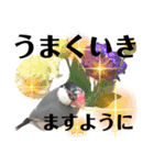 桜文鳥わすけ わすけに相談（個別スタンプ：22）