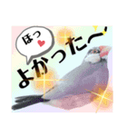 桜文鳥わすけ わすけに相談（個別スタンプ：23）