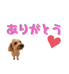 白茶モフ（個別スタンプ：10）
