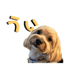 白茶モフ（個別スタンプ：32）