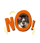 イケメン猫とぽかぽか犬2（個別スタンプ：12）
