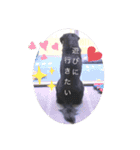 イケメン猫とぽかぽか犬2（個別スタンプ：13）