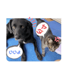 イケメン猫とぽかぽか犬2（個別スタンプ：15）