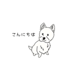 トリマーさん、犬好きさんのためのスタンプ（個別スタンプ：1）