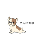 トリマーさん、犬好きさんのためのスタンプ（個別スタンプ：2）
