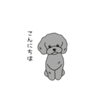 トリマーさん、犬好きさんのためのスタンプ（個別スタンプ：3）