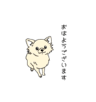 トリマーさん、犬好きさんのためのスタンプ（個別スタンプ：6）