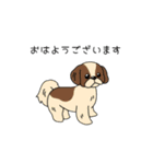トリマーさん、犬好きさんのためのスタンプ（個別スタンプ：7）