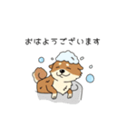 トリマーさん、犬好きさんのためのスタンプ（個別スタンプ：8）