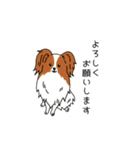 トリマーさん、犬好きさんのためのスタンプ（個別スタンプ：9）