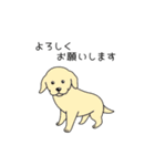 トリマーさん、犬好きさんのためのスタンプ（個別スタンプ：12）