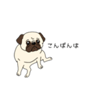 トリマーさん、犬好きさんのためのスタンプ（個別スタンプ：14）