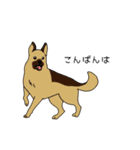 トリマーさん、犬好きさんのためのスタンプ（個別スタンプ：15）