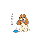 トリマーさん、犬好きさんのためのスタンプ（個別スタンプ：16）
