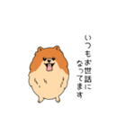 トリマーさん、犬好きさんのためのスタンプ（個別スタンプ：18）