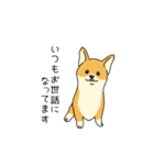 トリマーさん、犬好きさんのためのスタンプ（個別スタンプ：19）