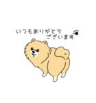 トリマーさん、犬好きさんのためのスタンプ（個別スタンプ：24）