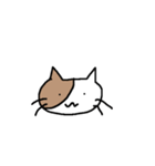 バイカラー猫さん☆（個別スタンプ：1）