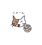 バイカラー猫さん☆（個別スタンプ：3）