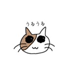 バイカラー猫さん☆（個別スタンプ：4）