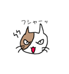 バイカラー猫さん☆（個別スタンプ：10）