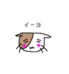 バイカラー猫さん☆（個別スタンプ：12）