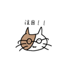 バイカラー猫さん☆（個別スタンプ：16）
