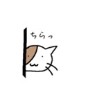 バイカラー猫さん☆（個別スタンプ：17）