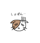 バイカラー猫さん☆（個別スタンプ：22）