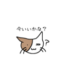 バイカラー猫さん☆（個別スタンプ：28）