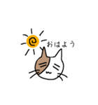 バイカラー猫さん☆（個別スタンプ：30）