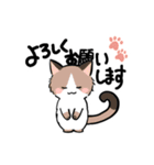 ねことはち、たまに関西弁（個別スタンプ：8）