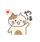 いろんなねこさんたち（個別スタンプ：29）