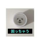 字幕犬 やや使いやすいver(かわいーぬ)（個別スタンプ：27）