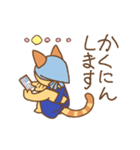 動くエプロンねこ（個別スタンプ：12）