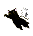 黒猫のタイショウ（個別スタンプ：5）