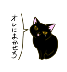 黒猫のタイショウ（個別スタンプ：11）