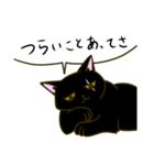 黒猫のタイショウ（個別スタンプ：24）