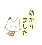 【ふんわり日常会話♡白ネコ】（個別スタンプ：25）