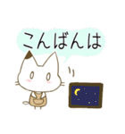 【ふんわり日常会話♡白ネコ】（個別スタンプ：37）