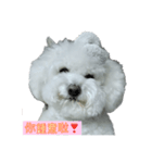 わらび婆ちゃん（個別スタンプ：1）