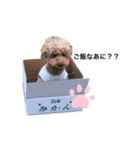 グッキーちゃん（個別スタンプ：1）