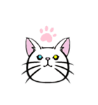 CAT Face(猫の顔)（個別スタンプ：1）