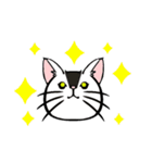 CAT Face(猫の顔)（個別スタンプ：9）