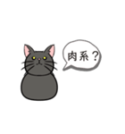 猫の会話(明日ひま？)（個別スタンプ：19）